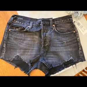 NWT Aritzia The ExBoyfriend Short